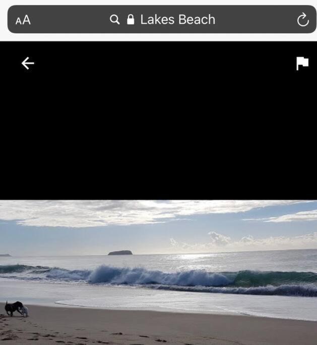 Dog Friendly New Humble Abode In Hotspot Location Apartment Budgewoi